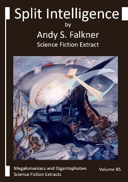 Andy S. Falkner: Split Intelligence